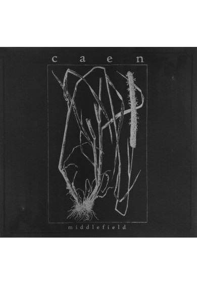 CAEN "Middlefield" LP